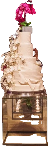 Estante Orquidário